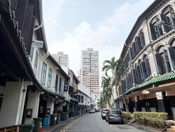 Tanjong Pagar Conservation Area (D2), Shop House #586027261